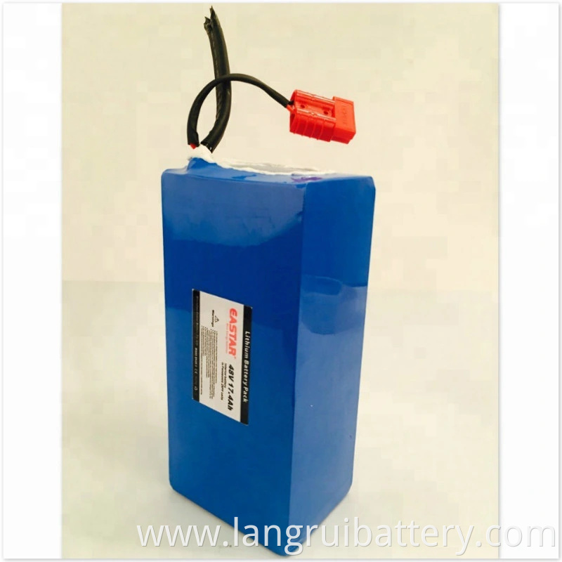 New Style 48V Lithium Ion Battery